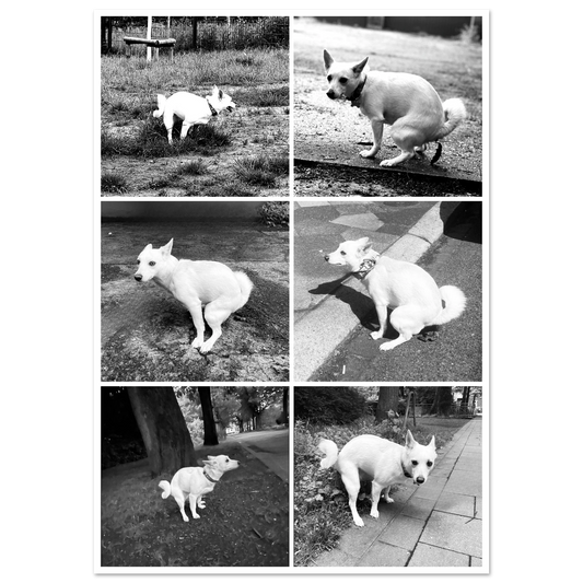 f217f7b0-085a-466a-959f-dfc453108dae